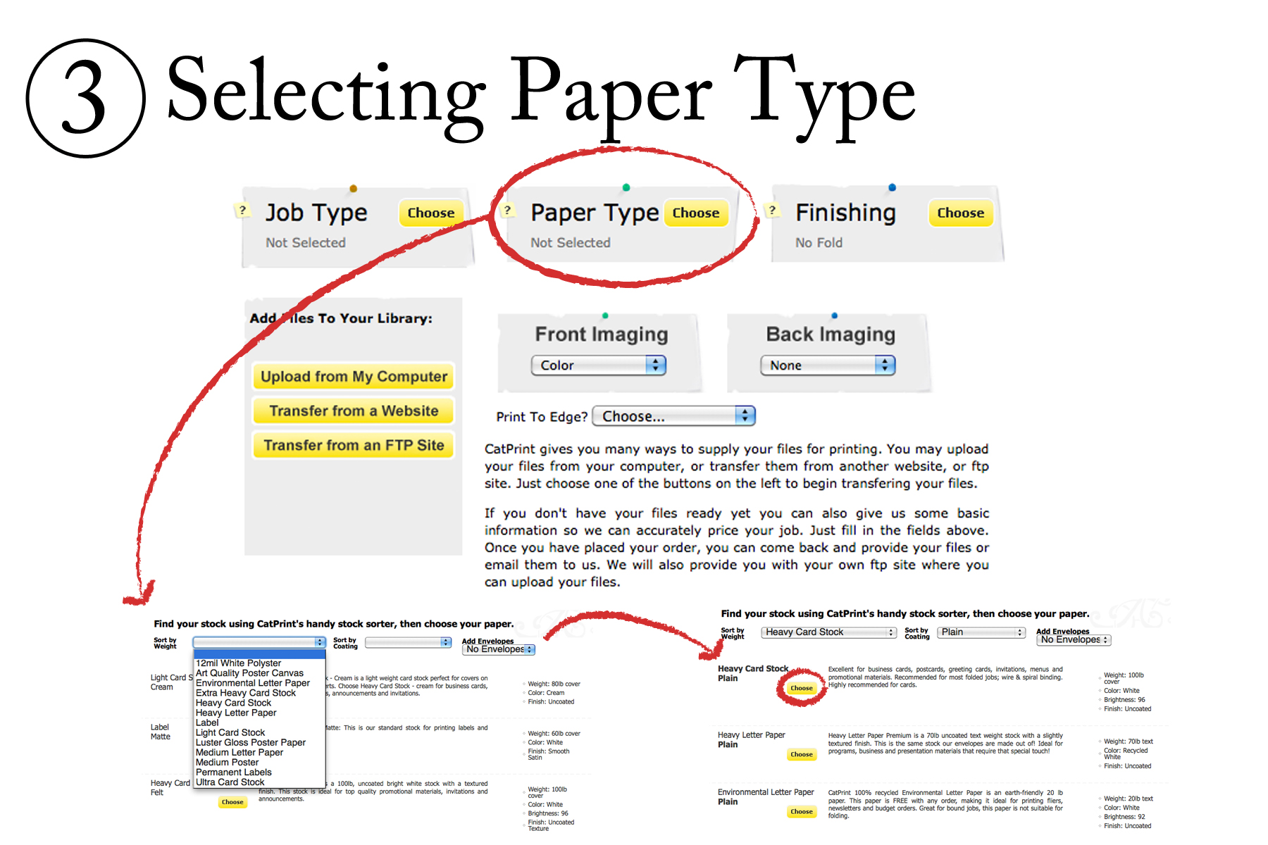 Websites to type essays