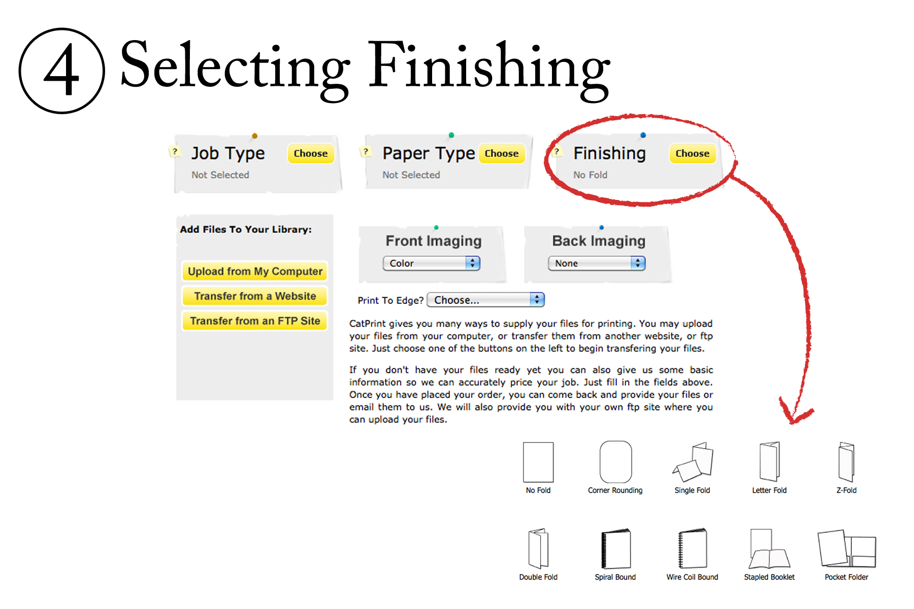 Using Our site to Order Prints Online CatPrint